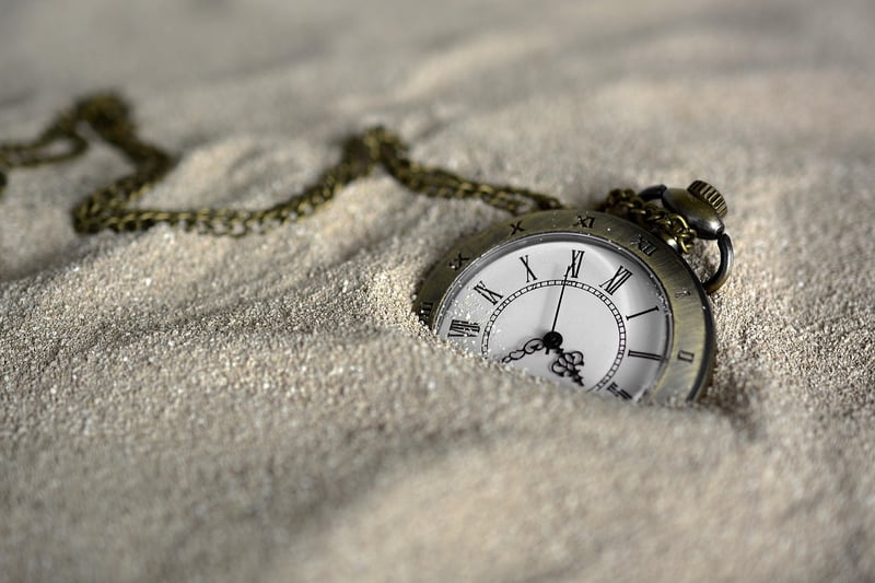 Time Traveler Interviews